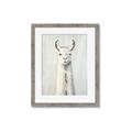 Picture of Brown and White Llama _GroupedProduct_Rectangle_Portrait_Mini_ _GroupedProduct_Rectangle_Portrait_Framed_Matted_