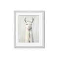 Picture of Brown and White Llama _GroupedProduct_Rectangle_Portrait_Mini_ _GroupedProduct_Rectangle_Portrait_Framed_Matted_