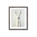 Picture of Brown and White Llama _GroupedProduct_Rectangle_Portrait_Mini_ _GroupedProduct_Rectangle_Portrait_Framed_Matted_