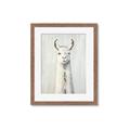 Picture of Brown and White Llama _GroupedProduct_Rectangle_Portrait_Mini_ _GroupedProduct_Rectangle_Portrait_Framed_Matted_
