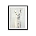 Picture of Brown and White Llama _GroupedProduct_Rectangle_Portrait_Mini_ _GroupedProduct_Rectangle_Portrait_Framed_Matted_