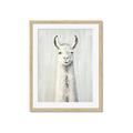 Picture of Brown and White Llama _GroupedProduct_Rectangle_Portrait_Mini_ _GroupedProduct_Rectangle_Portrait_Framed_Matted_