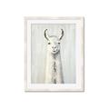 Picture of Brown and White Llama _GroupedProduct_Rectangle_Portrait_Mini_ _GroupedProduct_Rectangle_Portrait_Framed_Matted_