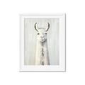 Picture of Brown and White Llama _GroupedProduct_Rectangle_Portrait_Mini_ _GroupedProduct_Rectangle_Portrait_Framed_Matted_