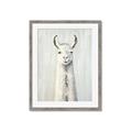 Picture of Brown and White Llama _GroupedProduct_Rectangle_Portrait_Mini_ _GroupedProduct_Rectangle_Portrait_Framed_Matted_