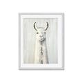 Picture of Brown and White Llama _GroupedProduct_Rectangle_Portrait_Mini_ _GroupedProduct_Rectangle_Portrait_Framed_Matted_