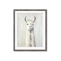 Picture of Brown and White Llama _GroupedProduct_Rectangle_Portrait_Mini_ _GroupedProduct_Rectangle_Portrait_Framed_Matted_