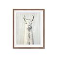 Picture of Brown and White Llama _GroupedProduct_Rectangle_Portrait_Mini_ _GroupedProduct_Rectangle_Portrait_Framed_Matted_
