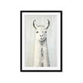 Picture of Brown and White Llama _GroupedProduct_Rectangle_Portrait_Mini_ _GroupedProduct_Rectangle_Portrait_Framed_Matted_