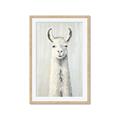 Picture of Brown and White Llama _GroupedProduct_Rectangle_Portrait_Mini_ _GroupedProduct_Rectangle_Portrait_Framed_Matted_