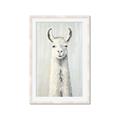 Picture of Brown and White Llama _GroupedProduct_Rectangle_Portrait_Mini_ _GroupedProduct_Rectangle_Portrait_Framed_Matted_