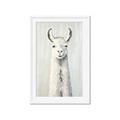Picture of Brown and White Llama _GroupedProduct_Rectangle_Portrait_Mini_ _GroupedProduct_Rectangle_Portrait_Framed_Matted_