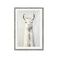 Picture of Brown and White Llama _GroupedProduct_Rectangle_Portrait_Mini_ _GroupedProduct_Rectangle_Portrait_Framed_Matted_