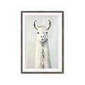 Picture of Brown and White Llama _GroupedProduct_Rectangle_Portrait_Mini_ _GroupedProduct_Rectangle_Portrait_Framed_Matted_