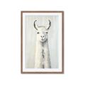 Picture of Brown and White Llama _GroupedProduct_Rectangle_Portrait_Mini_ _GroupedProduct_Rectangle_Portrait_Framed_Matted_