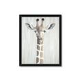 Picture of Close-up Giraffe _GroupedProduct_Rectangle_Portrait_Mini_ _GroupedProduct_Rectangle_Portrait_Framed_Matted_