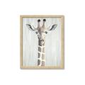 Picture of Close-up Giraffe _GroupedProduct_Rectangle_Portrait_Mini_ _GroupedProduct_Rectangle_Portrait_Framed_Matted_