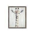 Picture of Close-up Giraffe _GroupedProduct_Rectangle_Portrait_Mini_ _GroupedProduct_Rectangle_Portrait_Framed_Matted_