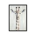 Picture of Close-up Giraffe _GroupedProduct_Rectangle_Portrait_Mini_ _GroupedProduct_Rectangle_Portrait_Framed_Matted_