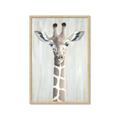 Picture of Close-up Giraffe _GroupedProduct_Rectangle_Portrait_Mini_ _GroupedProduct_Rectangle_Portrait_Framed_Matted_