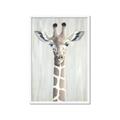 Picture of Close-up Giraffe _GroupedProduct_Rectangle_Portrait_Mini_ _GroupedProduct_Rectangle_Portrait_Framed_Matted_