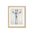 Picture of Close-up Giraffe _GroupedProduct_Rectangle_Portrait_Mini_ _GroupedProduct_Rectangle_Portrait_Framed_Matted_