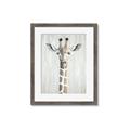Picture of Close-up Giraffe _GroupedProduct_Rectangle_Portrait_Mini_ _GroupedProduct_Rectangle_Portrait_Framed_Matted_