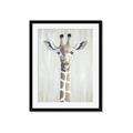 Picture of Close-up Giraffe _GroupedProduct_Rectangle_Portrait_Mini_ _GroupedProduct_Rectangle_Portrait_Framed_Matted_