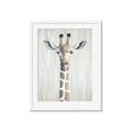 Picture of Close-up Giraffe _GroupedProduct_Rectangle_Portrait_Mini_ _GroupedProduct_Rectangle_Portrait_Framed_Matted_