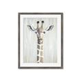 Picture of Close-up Giraffe _GroupedProduct_Rectangle_Portrait_Mini_ _GroupedProduct_Rectangle_Portrait_Framed_Matted_