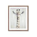 Picture of Close-up Giraffe _GroupedProduct_Rectangle_Portrait_Mini_ _GroupedProduct_Rectangle_Portrait_Framed_Matted_