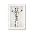 Picture of Close-up Giraffe _GroupedProduct_Rectangle_Portrait_Mini_ _GroupedProduct_Rectangle_Portrait_Framed_Matted_