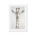Picture of Close-up Giraffe _GroupedProduct_Rectangle_Portrait_Mini_ _GroupedProduct_Rectangle_Portrait_Framed_Matted_