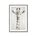 Picture of Close-up Giraffe _GroupedProduct_Rectangle_Portrait_Mini_ _GroupedProduct_Rectangle_Portrait_Framed_Matted_