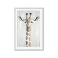 Picture of Close-up Giraffe _GroupedProduct_Rectangle_Portrait_Mini_ _GroupedProduct_Rectangle_Portrait_Framed_Matted_