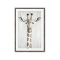 Picture of Close-up Giraffe _GroupedProduct_Rectangle_Portrait_Mini_ _GroupedProduct_Rectangle_Portrait_Framed_Matted_