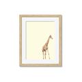 Picture of Safari l _GroupedProduct_Rectangle_Portrait_Mini_ _GroupedProduct_Rectangle_Portrait_Framed_Matted_
