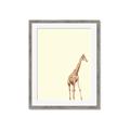 Picture of Safari l _GroupedProduct_Rectangle_Portrait_Mini_ _GroupedProduct_Rectangle_Portrait_Framed_Matted_