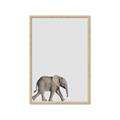 Picture of Safari lV _GroupedProduct_Rectangle_Portrait_Mini_ _GroupedProduct_Rectangle_Portrait_Framed_Matted_
