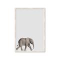 Picture of Safari lV _GroupedProduct_Rectangle_Portrait_Mini_ _GroupedProduct_Rectangle_Portrait_Framed_Matted_