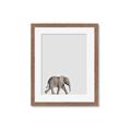 Picture of Safari lV _GroupedProduct_Rectangle_Portrait_Mini_ _GroupedProduct_Rectangle_Portrait_Framed_Matted_