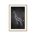 Picture of Chalk Giraffe _GroupedProduct_Rectangle_Portrait_Mini_ _GroupedProduct_Rectangle_Portrait_Framed_Matted_