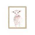 Picture of Baby Sheep Front _GroupedProduct_Rectangle_Portrait_Mini_ _GroupedProduct_Rectangle_Portrait_Framed_Matted_