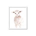 Picture of Baby Sheep Front _GroupedProduct_Rectangle_Portrait_Mini_ _GroupedProduct_Rectangle_Portrait_Framed_Matted_
