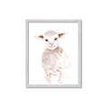 Picture of Baby Sheep Front _GroupedProduct_Rectangle_Portrait_Mini_ _GroupedProduct_Rectangle_Portrait_Framed_Matted_