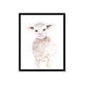 Picture of Baby Sheep Front _GroupedProduct_Rectangle_Portrait_Mini_ _GroupedProduct_Rectangle_Portrait_Framed_Matted_