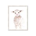 Picture of Baby Sheep Front _GroupedProduct_Rectangle_Portrait_Mini_ _GroupedProduct_Rectangle_Portrait_Framed_Matted_