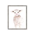 Picture of Baby Sheep Front _GroupedProduct_Rectangle_Portrait_Mini_ _GroupedProduct_Rectangle_Portrait_Framed_Matted_