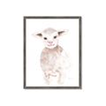 Picture of Baby Sheep Front _GroupedProduct_Rectangle_Portrait_Mini_ _GroupedProduct_Rectangle_Portrait_Framed_Matted_