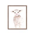 Picture of Baby Sheep Front _GroupedProduct_Rectangle_Portrait_Mini_ _GroupedProduct_Rectangle_Portrait_Framed_Matted_
